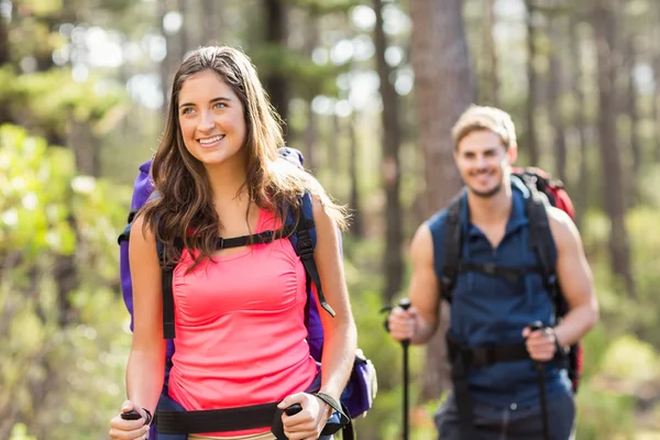 Excursionistas con bastones de trekking —  Fotos de Stock