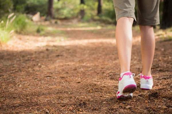 Kadın yolda hiking — Stok fotoğraf