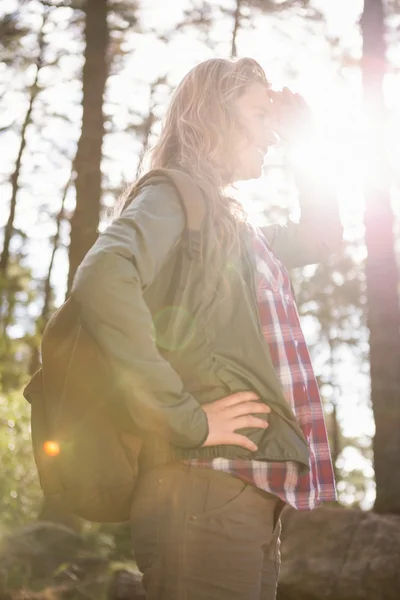 Pretthiker letar efter vägen — Stockfoto