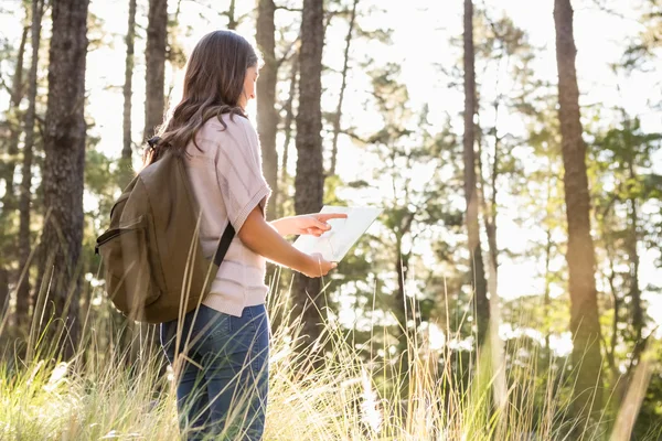 Brunett hiker läsa karta — Stockfoto