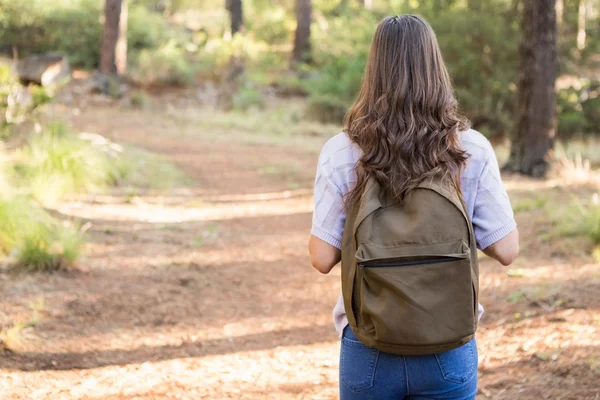 Esmer uzun yürüyüşe çıkan kimse yolda hiking — Stok fotoğraf