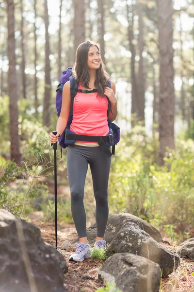 Jogger mirando algo — Foto de Stock