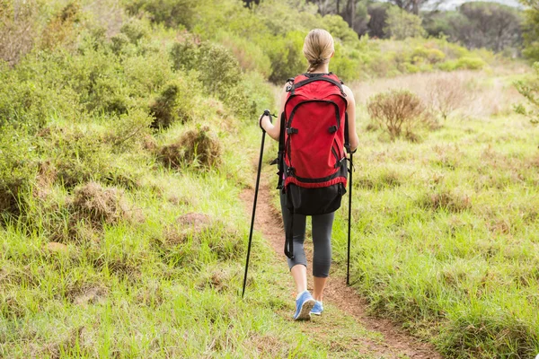 Escursionista trekking con bastoncini da trekking — Foto Stock