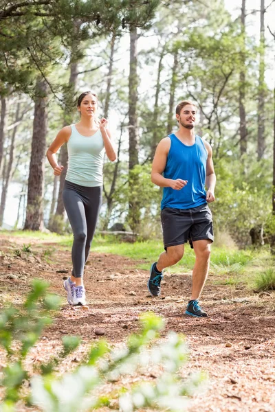 Gelukkig joggers uitgevoerd — Stockfoto