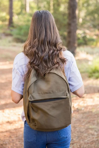 Esmer uzun yürüyüşe çıkan kimse yolda hiking — Stok fotoğraf