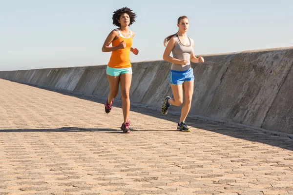 Zwei junge Frauen joggen zusammen — Stockfoto