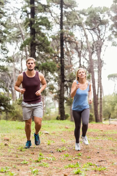 Unga glada joggare kör — Stockfoto