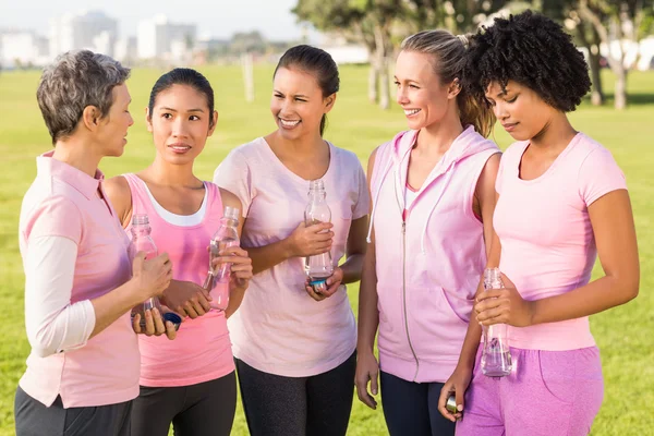 Donne che indossano rosa parlare — Foto Stock