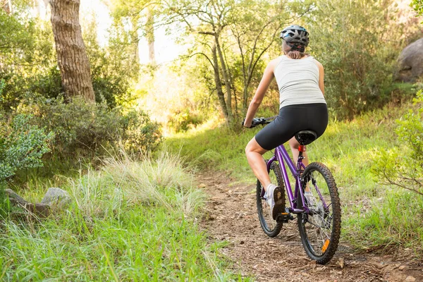 Brunett mountainbike på väg — Stockfoto