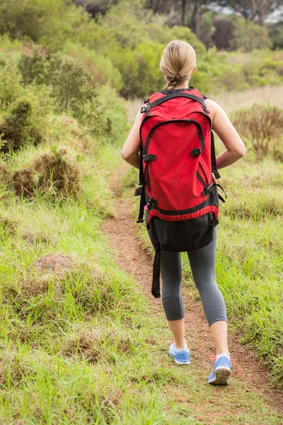 Sırt çantası ile hiking sarışın uzun yürüyüşe çıkan kimse — Stok fotoğraf