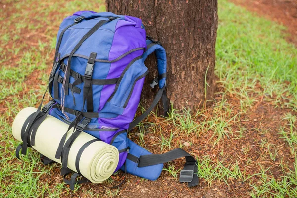 Uma mochila de caminhada apoiada em uma árvore — Fotografia de Stock