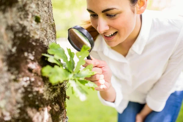 Brunett tittar på anläggningen — Stockfoto