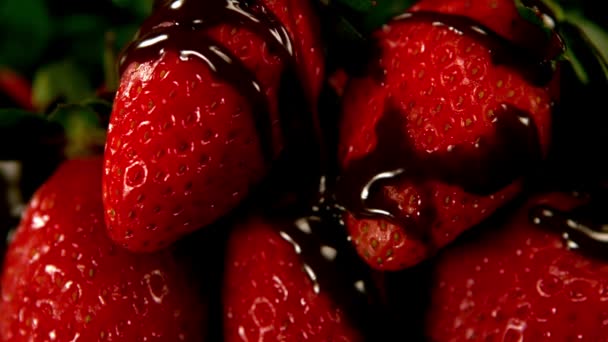 Λιωμένη σοκολάτα ρίχνει πάνω από τις φράουλες — Αρχείο Βίντεο