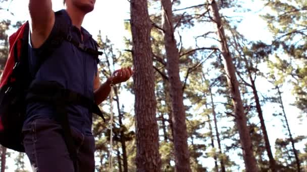 Άνθρωπος πεζοπορία μέσα από ένα δάσος με πυξίδα — Αρχείο Βίντεο