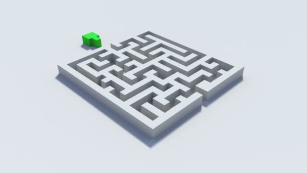 Grüne Linie, die um ein Labyrinth führt — Stockvideo