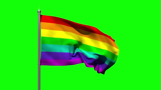 Regenboogvlag waait tegen groen scherm — Stockvideo