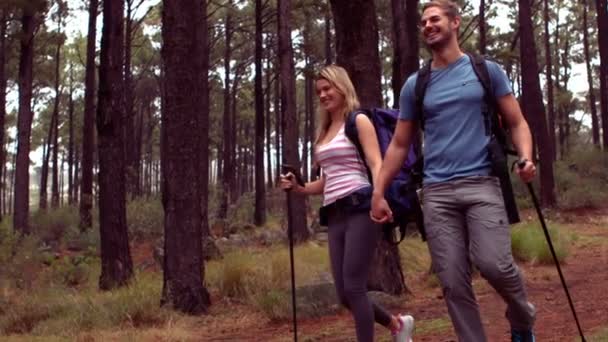 Caminhadas de casal através de uma floresta — Vídeo de Stock