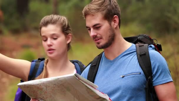 Jovens casais caminhando juntos — Vídeo de Stock