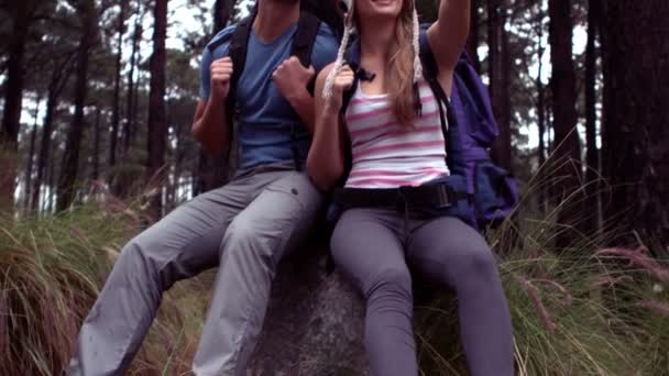 Caminhadas de casal através de uma floresta — Vídeo de Stock