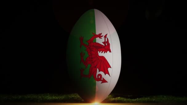 Jogador chutando wales bola de rugby — Vídeo de Stock