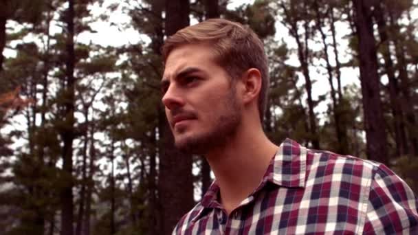 Hombre caminando a través de un bosque usando prismáticos — Vídeos de Stock