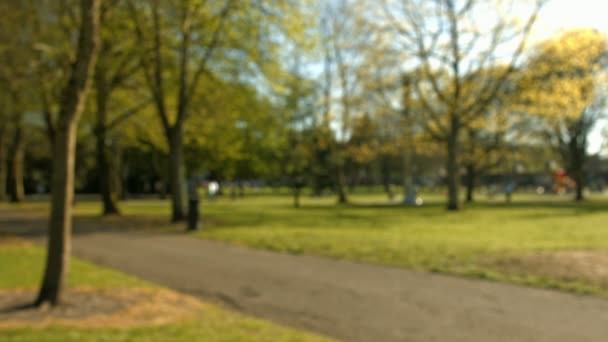 Verschwommene Aufnahme von Menschen, die in der Ferne gehen — Stockvideo