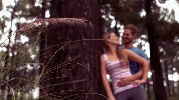 Couple randonnée à travers une forêt — Video