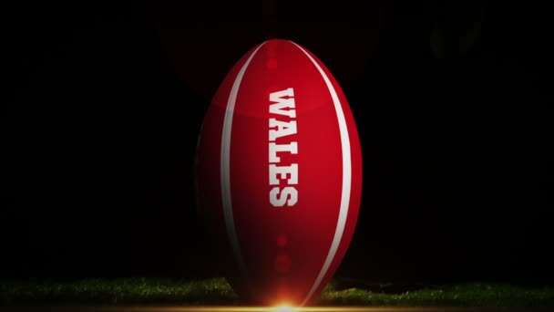 Speler schoppen wales rugbybal — Stockvideo