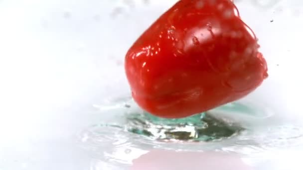 Red pepper falling on water — Stock Video