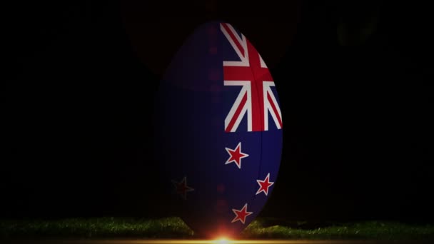 Hráč kope Nový Zéland rugby míč — Stock video