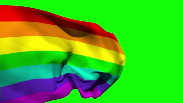 Bandera del arco iris que sopla contra pantalla verde — Vídeos de Stock