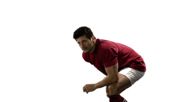 Serious rugby player playing in slow motion — Stock Video