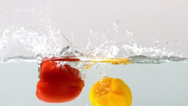 Peppers falling in water — Stock Video