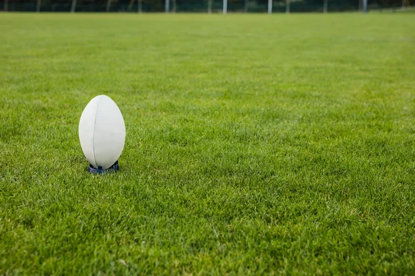 Pelota de rugby en el campo —  Fotos de Stock