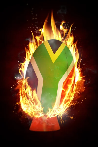 南アフリカ共和国のラグビー ボール — ストック写真