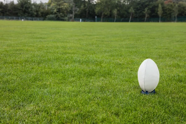 Balle de rugby sur le terrain — Photo