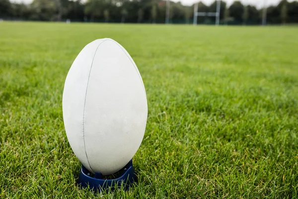 Rugbybal op het veld — Stockfoto