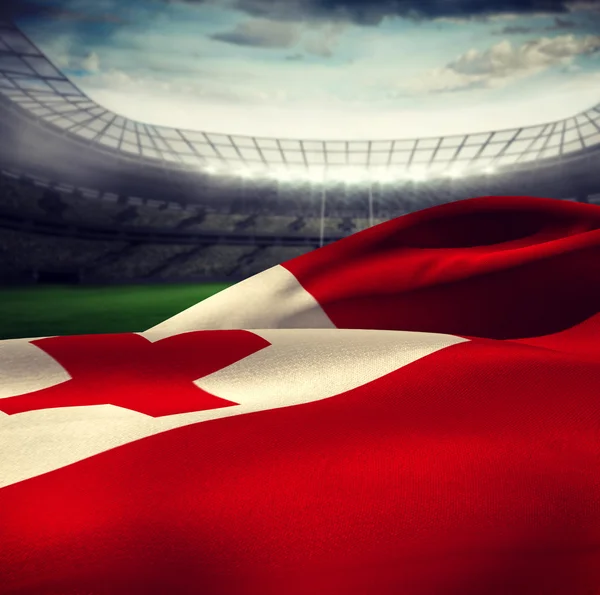 Heiluttaa Tonga-lippua — kuvapankkivalokuva