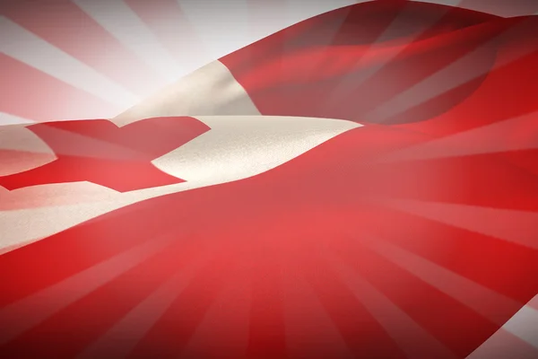 Waving tonga flag — Stock Photo, Image