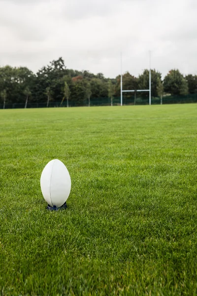 Balle de rugby sur le terrain — Photo