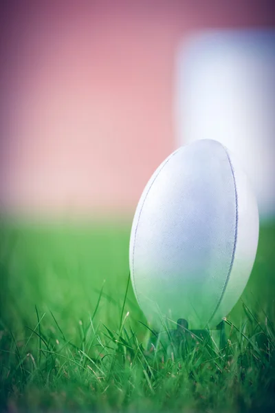 Мяч против травы — стоковое фото