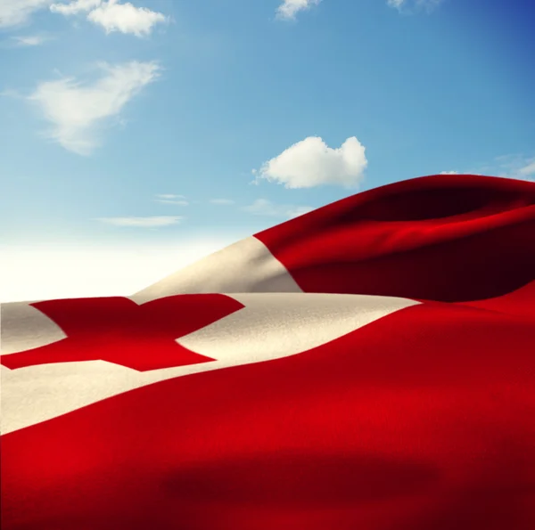 Tonga-Flagge schwenken — Stockfoto