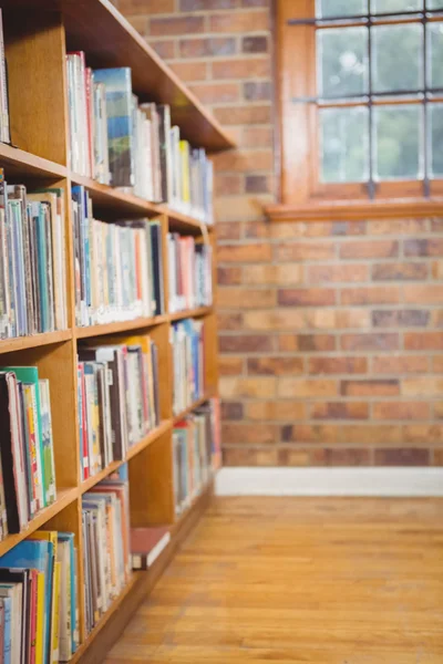 Four Shelves full of books — Stock Photo, Image