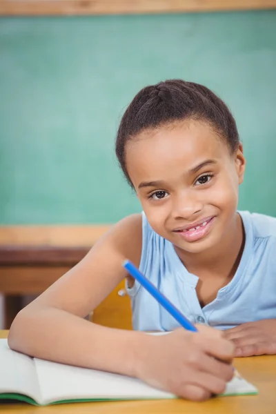 Estudante sorridente trabalhando no trabalho escolar — Fotografia de Stock