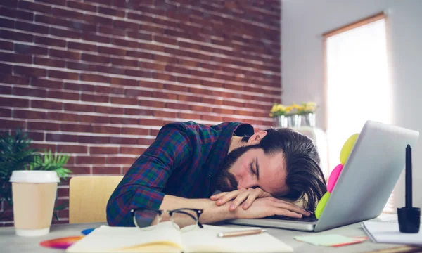 Fáradt kreatív szerkesztő alszik-ra laptop — Stock Fotó