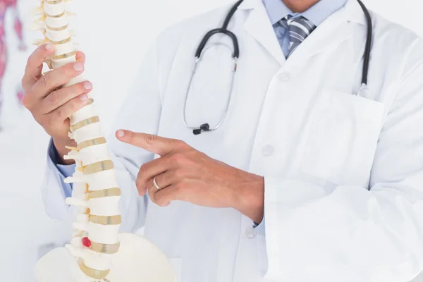 Medico che mostra la colonna vertebrale anatomica — Foto Stock