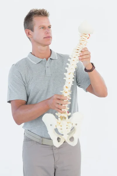 Doctor with anatomical spine — Stock Photo, Image