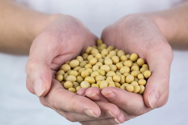 Woman showing handful of chickpeas — Stock Photo, Image