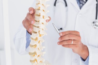Doctor showing anatomical spine clipart