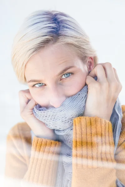 Woman wearing a grey scarf — Stock Photo, Image